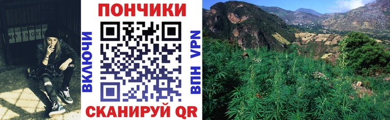 kraken сайт  Заинск  Бошки марихуана Bruce Banner 